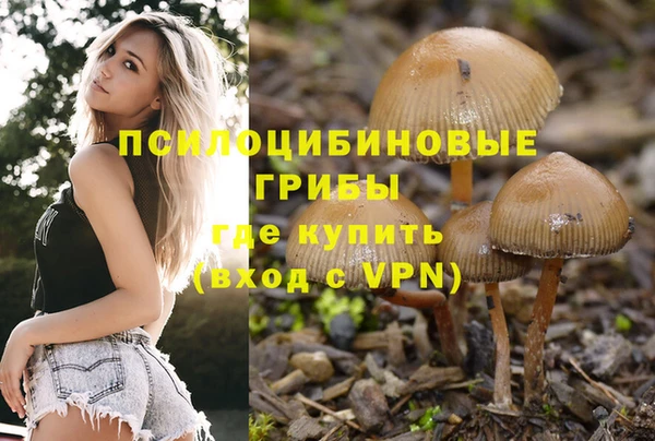 МДПВ Арсеньев
