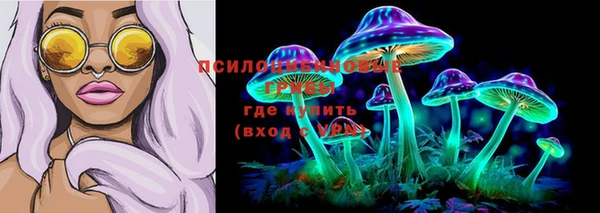 МДПВ Арсеньев