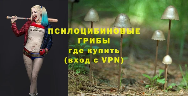 гидропоника Аркадак