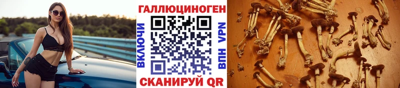 Купить закладки  Семикаракорск  Галлюциногенные грибы мицелий 